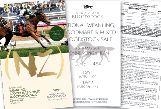 May Sale Catalogue Brimming with Quality Broodmares.